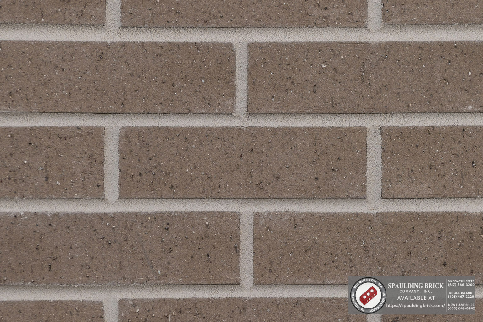 Palmetto 1.25 Greystone Wirecut Spaulding Brick