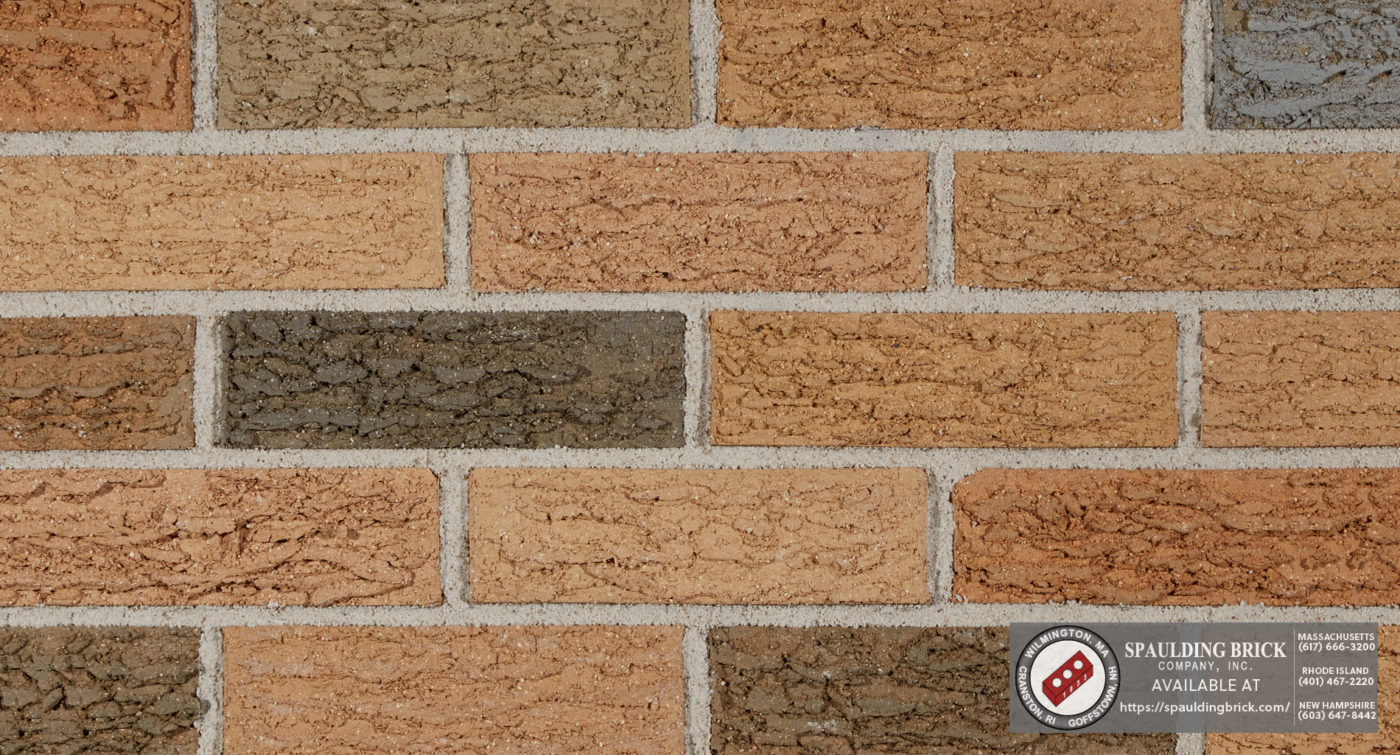 Belden Brick 514 Bark Spaulding Brick