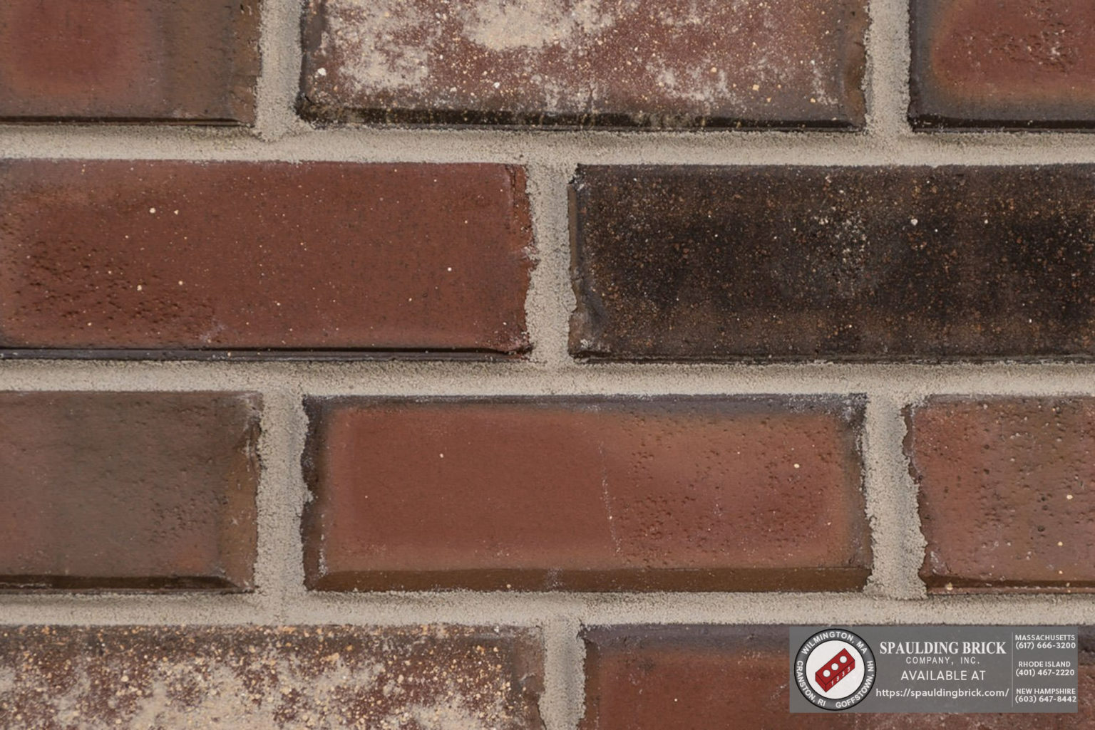 Palmetto Bucksport Spaulding Brick