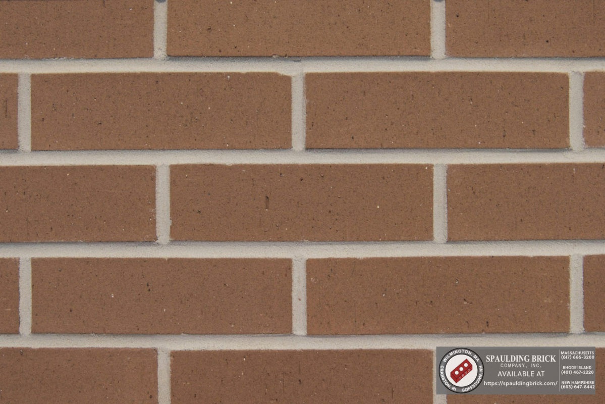 Palmetto Caramel - Spaulding Brick