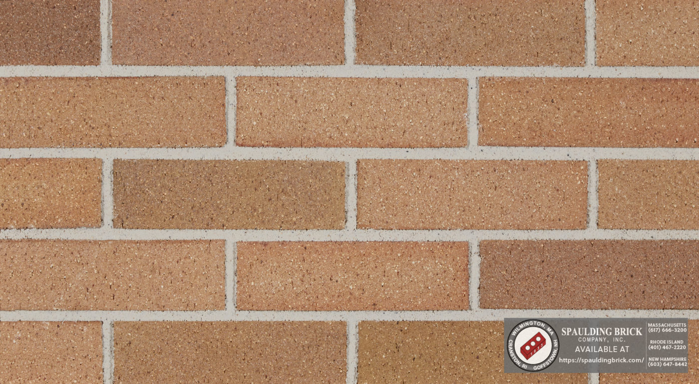 Belden Brick Concord Blend Spaulding Brick