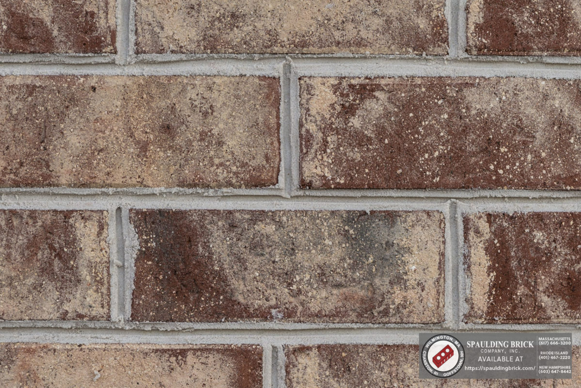 Palmetto Hartsville Rose Spaulding Brick