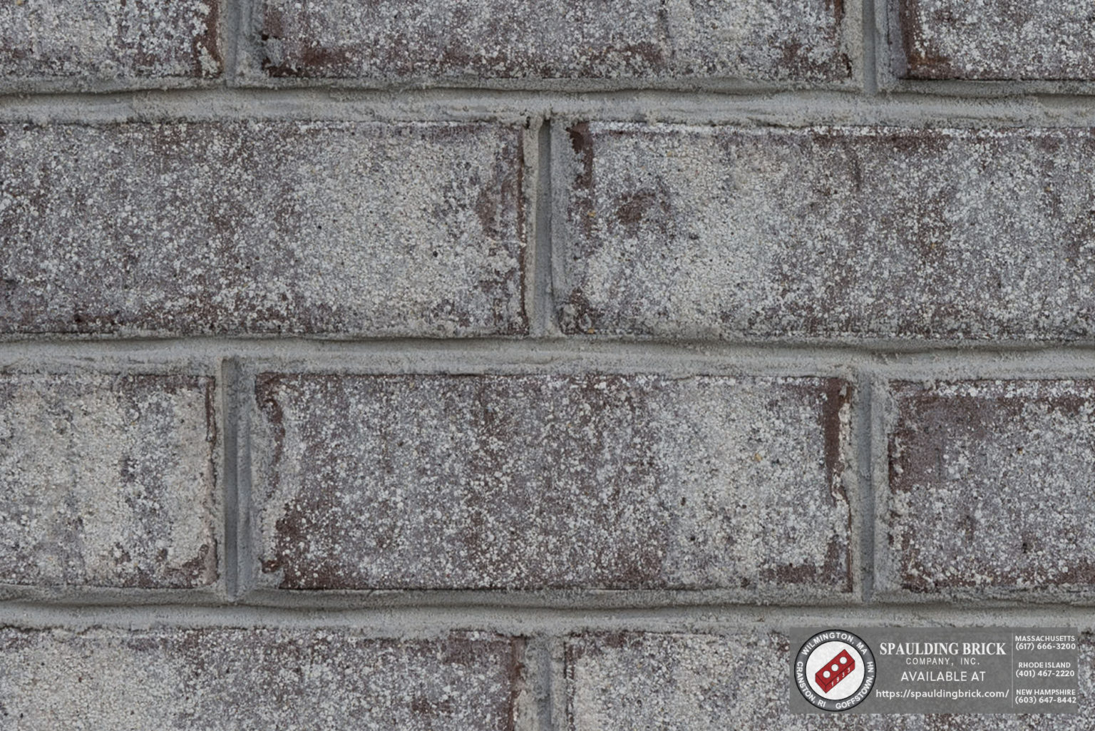 Palmetto Myrtle Sand Spaulding Brick