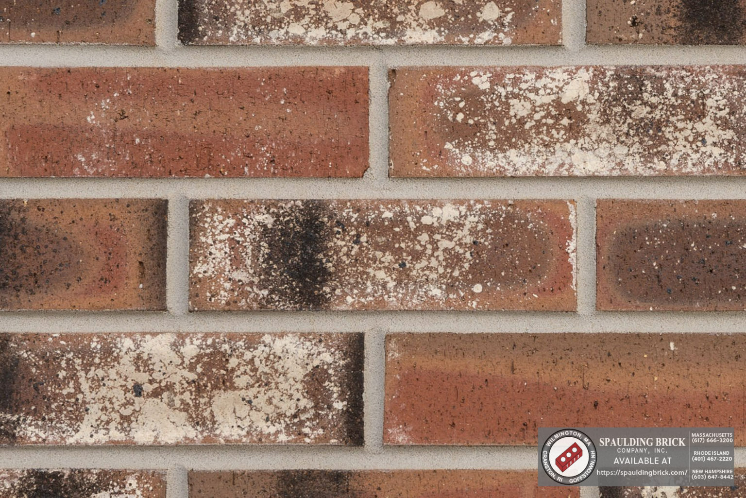 Palmetto Old English Spaulding Brick