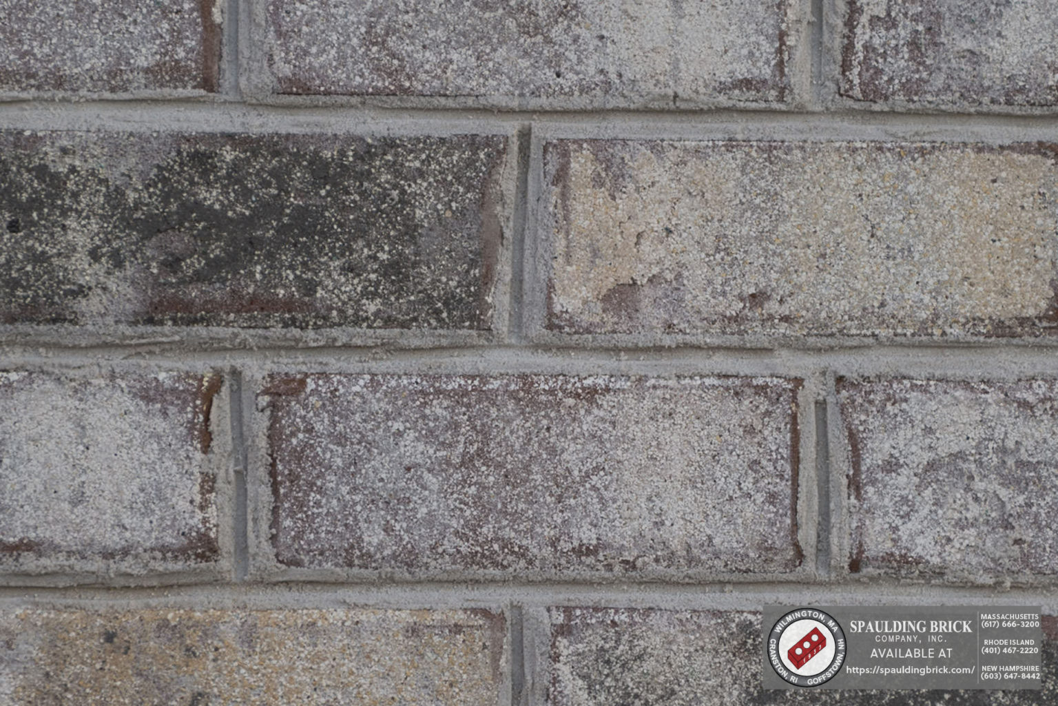 Palmetto Riviera Spaulding Brick