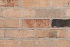 Glen-Gery Illini Commons w/Black