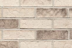 Glen-Gery Morning Dove