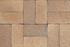 Pacific Clay Sonora Flashed