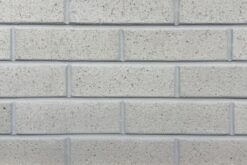 Palmetto Platinum Grey