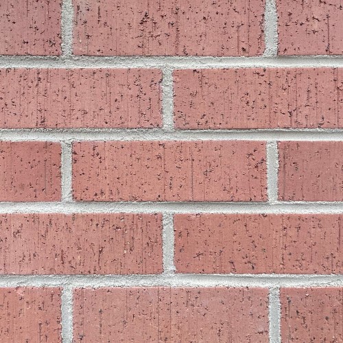 Yankee Hill Pink Velour